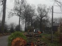 Réalisation