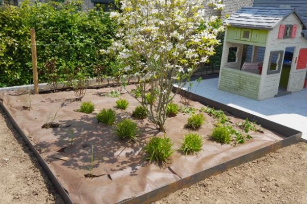 Pose de bordures en Corten et plantation