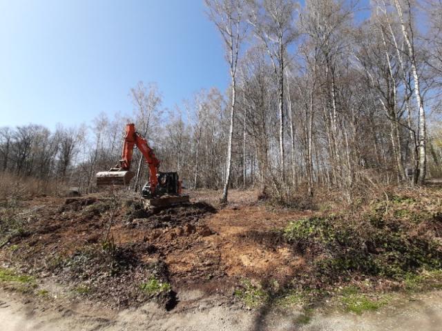 Terrassement zone forestière 