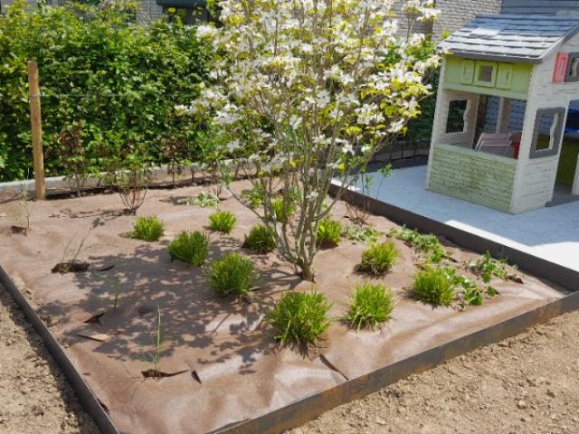 Pose de bordures en Corten et plantation