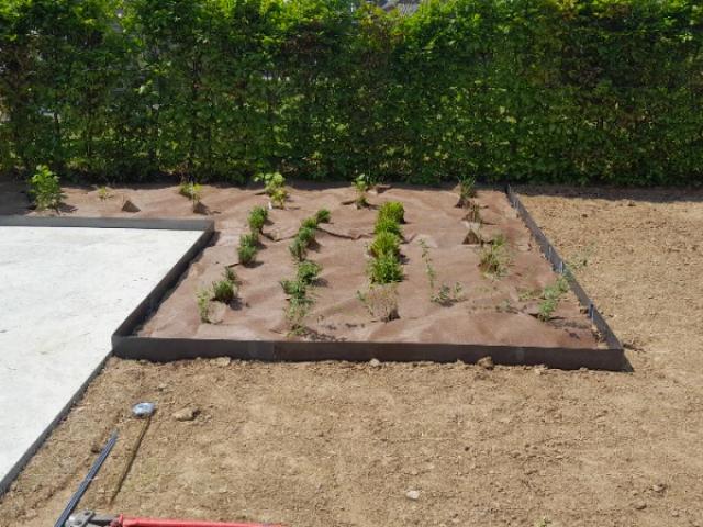 Pose de bordures en Corten et plantation