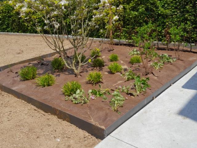 Pose de bordures en Corten et plantation