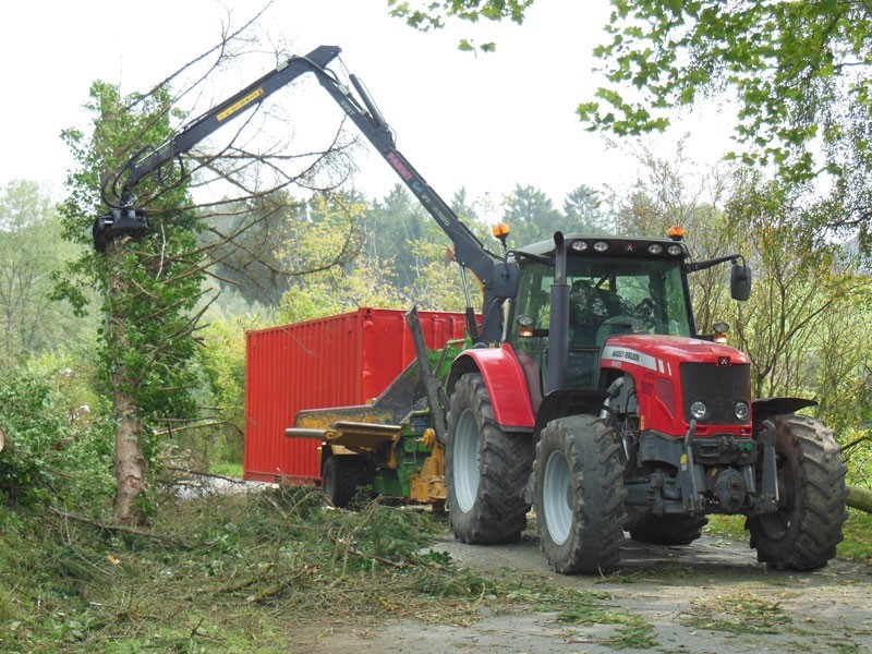 Nous réalisons aussi tous les travaux de dessouchage